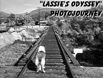 Journey with Lassie
