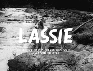 Lassie B&W Corey Stuart titles