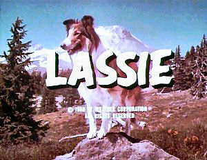 Lassie syndicated titles