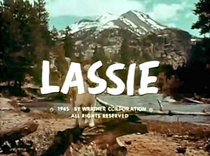 Titles from 12th season second half