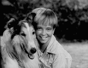 Lassie and Jeff