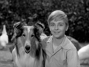 Lassie and Jeff #2