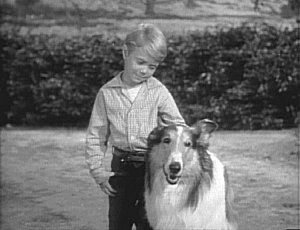 Lassie and Timmy