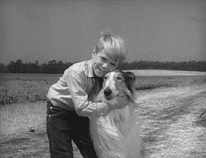 Lassie and Timmy #2