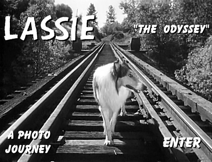 Lassie's Odyssey: A Photo Journey Entrance Screen